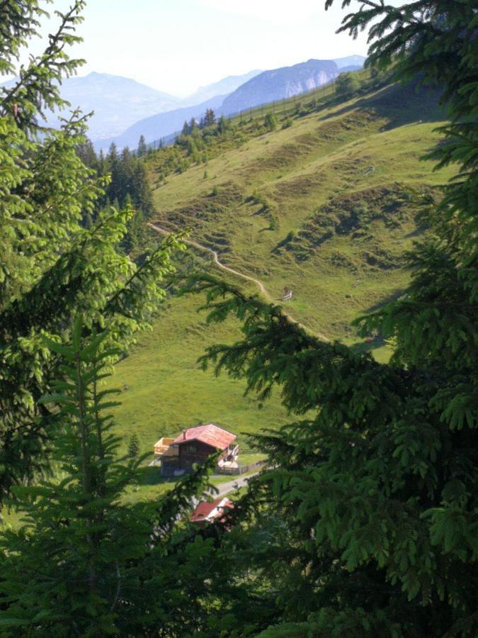 Villa Almhuette Andrea Wildschoenau Esterno foto